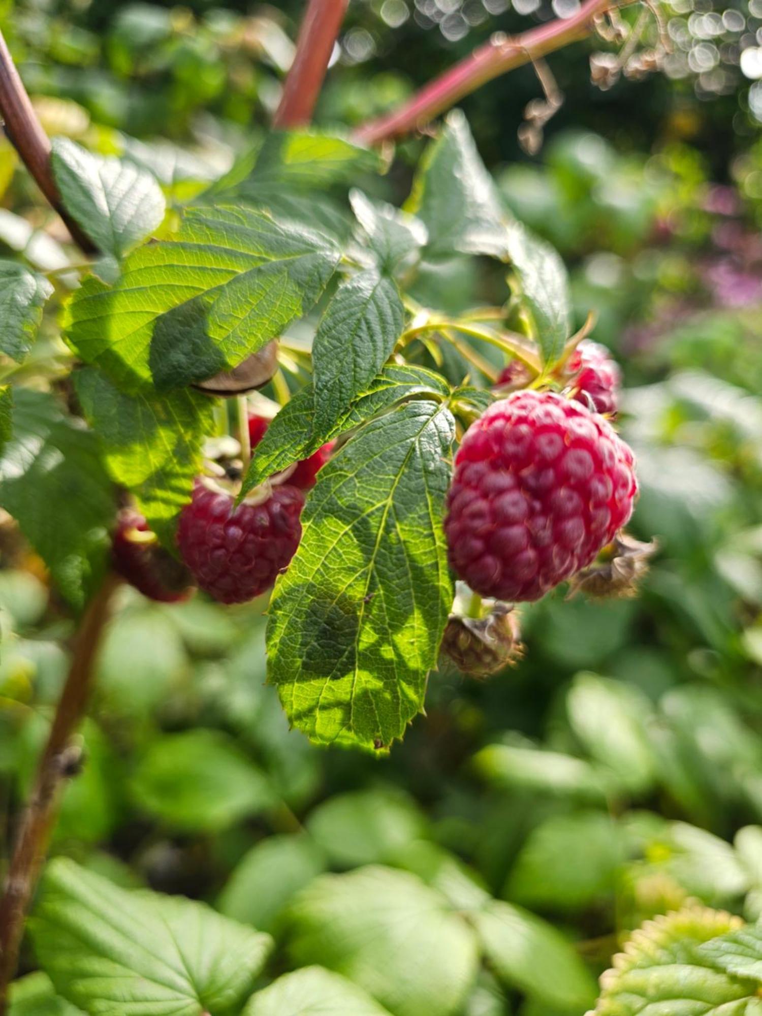 Kaszubskie Poddasze Golubie Zewnętrze zdjęcie